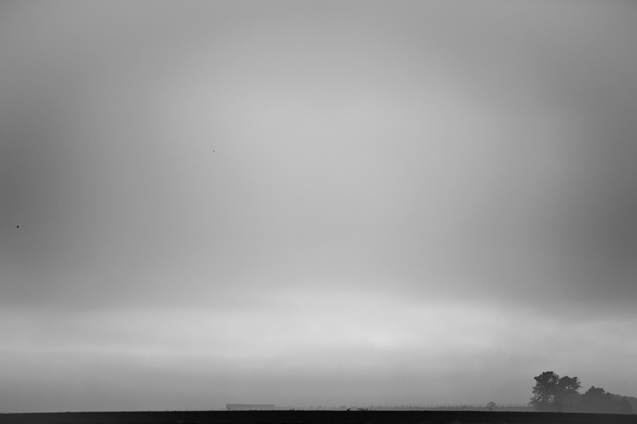 CALIFORNIA 1 / 3289