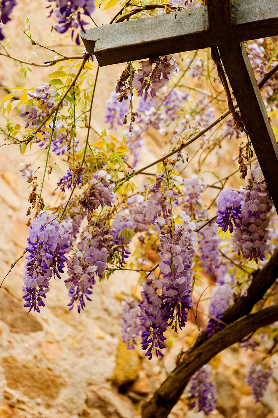 Tossa de Mar Abril 2016