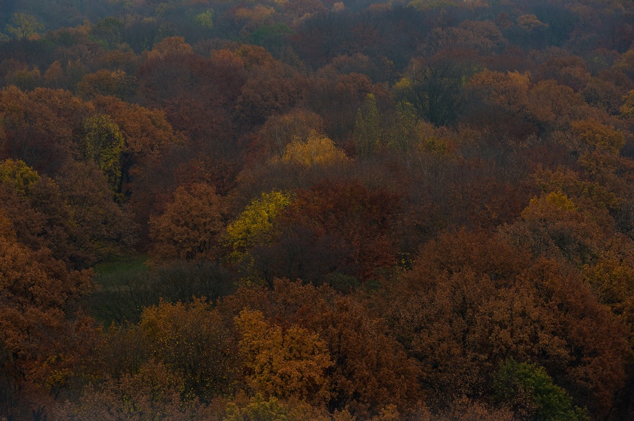 Berlim Novembro 2012