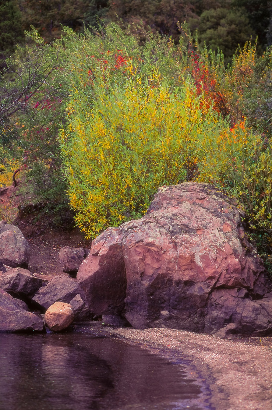 San Martin de los Andes Patagonia Argentina 1996