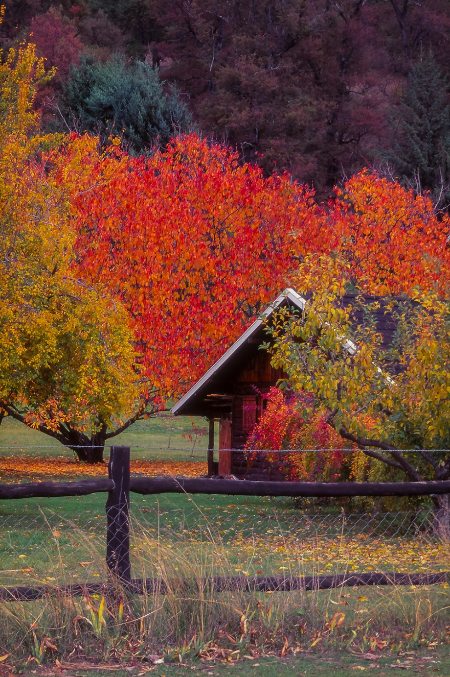 San Martin de los Andes Patagonia Argentina 1996