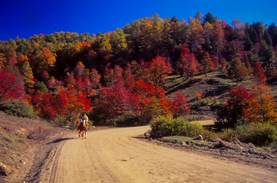 San Martin de los Andes Patagonia Argentina 1996