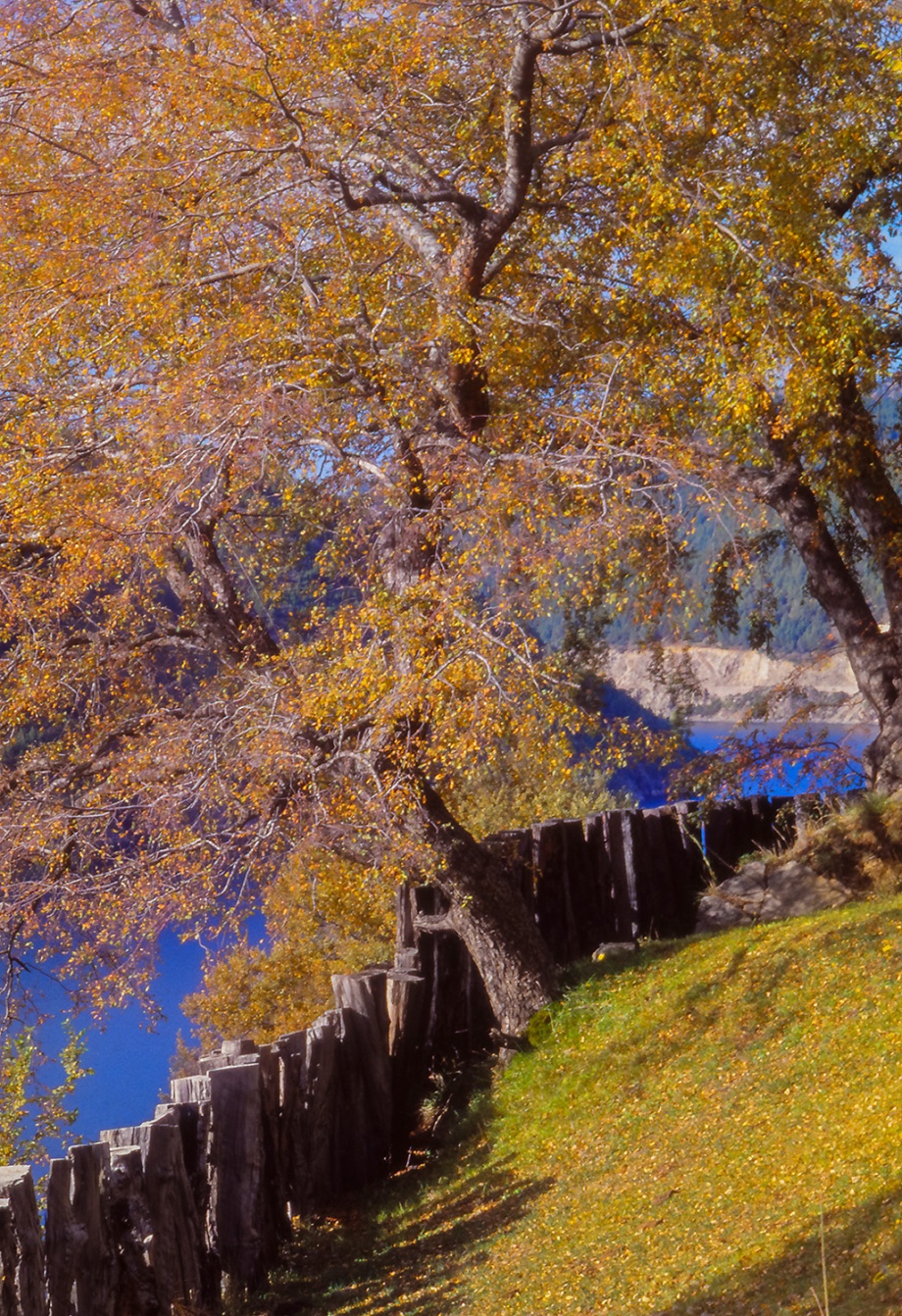 San Martin de los Andes Patagonia Argentina 1996