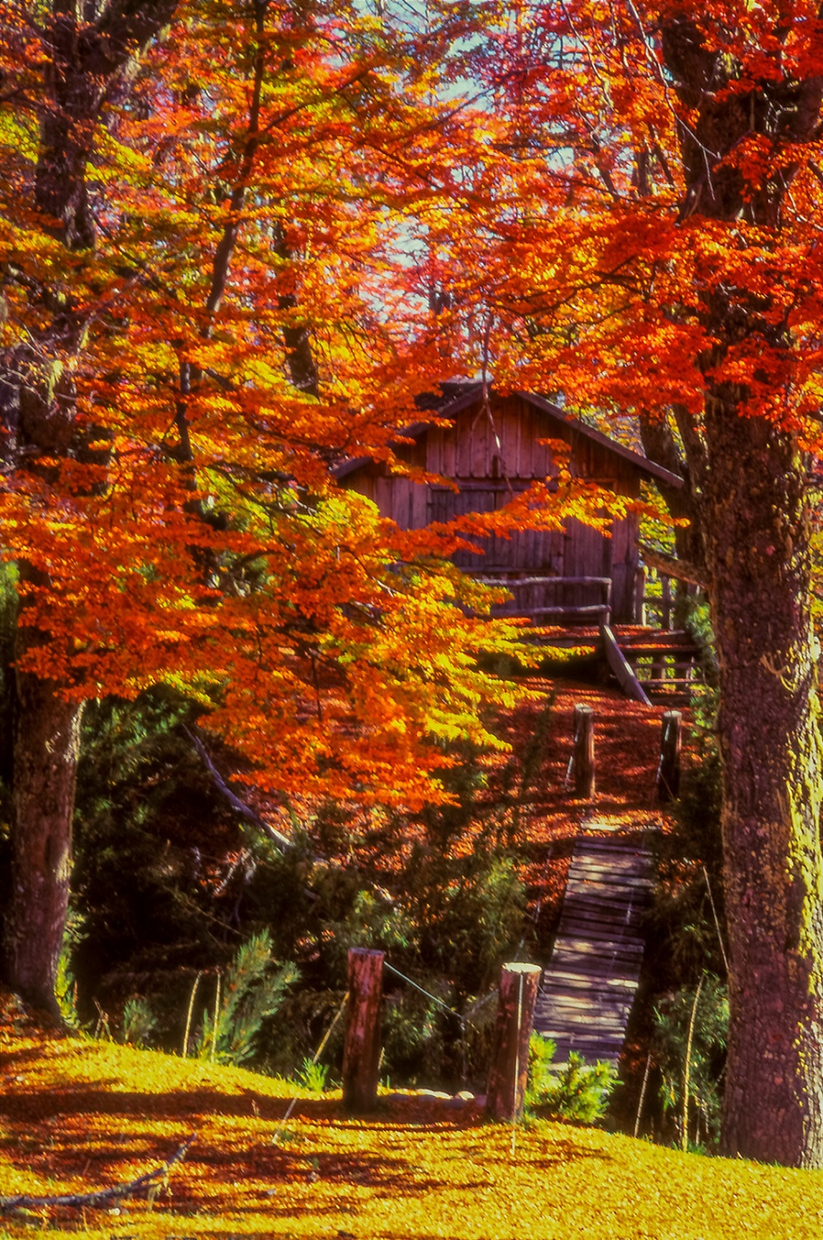 San Martin de los Andes Patagonia Argentina 1996