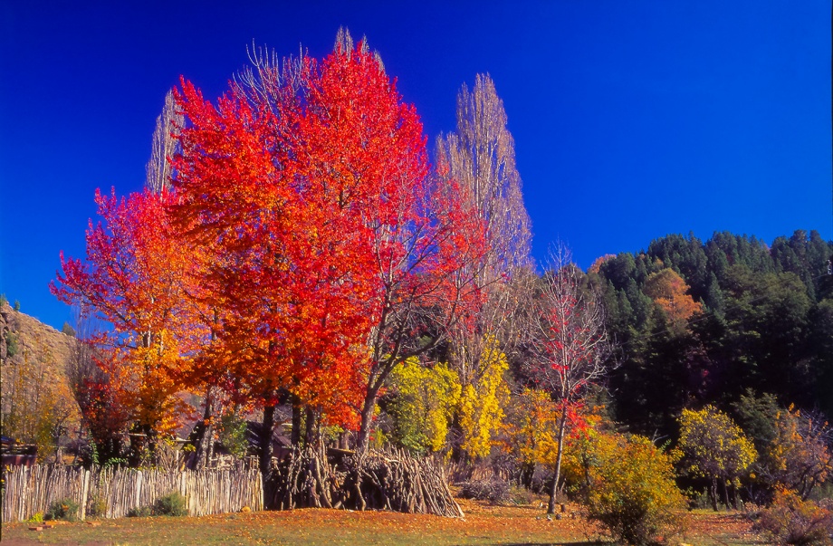 San Martin de los Andes Patagonia Argentina 1996