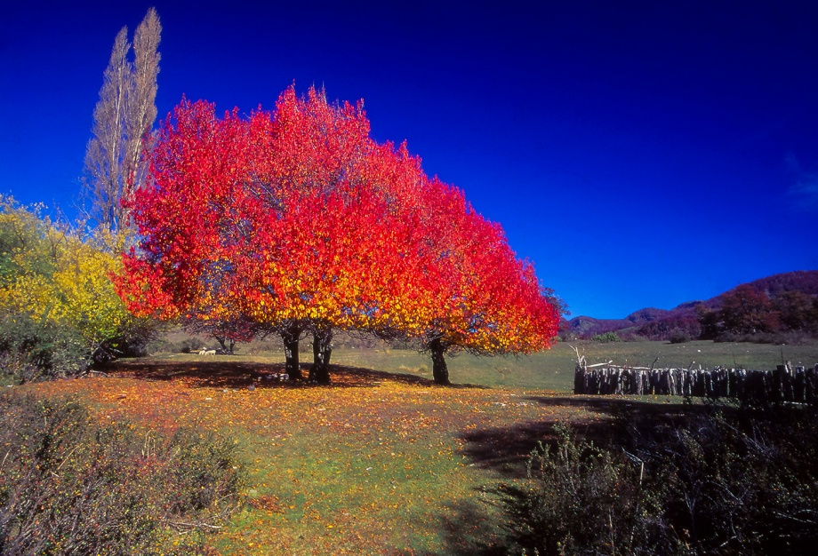 San Martin de los Andes Patagonia Argentina 1996