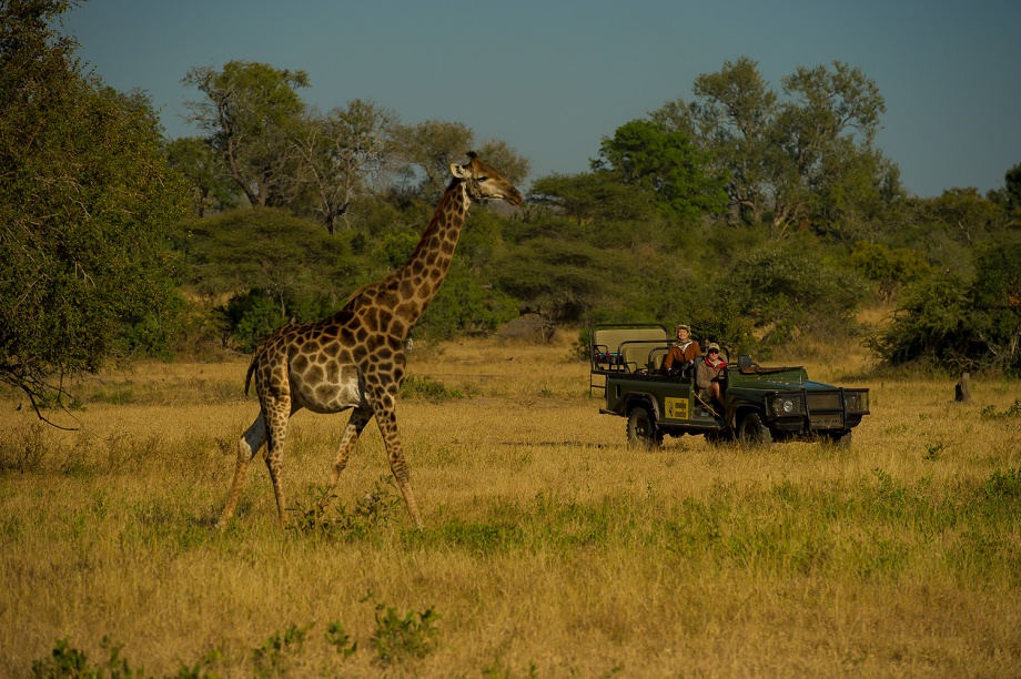 Patricia Naves para Caras  Julio de 2010 Mala Mala Kruger Park