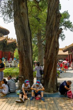 Forbidden City Julho 2014