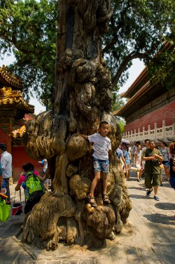 Forbidden City Julho 2014